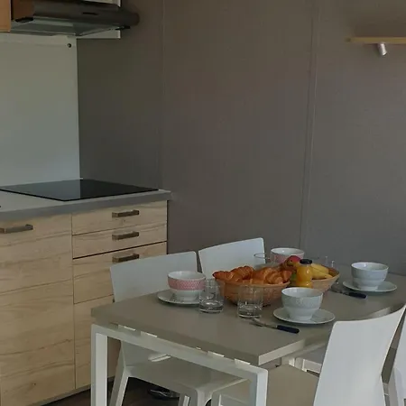 Mobil-home Sur Pilotis Avec Terrasse - Api-1-52-1009 Campeggio