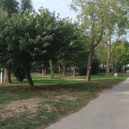 Mobil-home Sur Pilotis Avec Terrasse - Api-1-52-1009 Κάμπινγκ Roquebrune-sur Argens