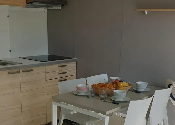 Mobil-home Sur Pilotis Avec Terrasse - Api-1-52-1009 Camping